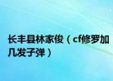 長豐縣林家?。╟f修羅加幾發(fā)子彈）