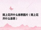 陌上花開(kāi)什么意思圖片（陌上花開(kāi)什么意思）