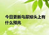 今日更新鳥(niǎo)尿掉頭上有什么預(yù)兆