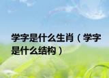 學(xué)字是什么生肖（學(xué)字是什么結(jié)構(gòu)）