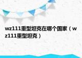 wz111重型坦克在哪個(gè)國(guó)家（wz111重型坦克）