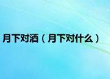 月下對酒（月下對什么）