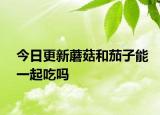 今日更新蘑菇和茄子能一起吃嗎
