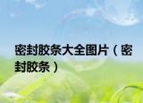 密封膠條大全圖片（密封膠條）