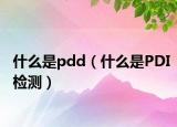 什么是pdd（什么是PDI檢測(cè)）