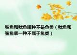 鯊魚和魷魚哪種不是魚類（魷魚和鯊魚哪一種不屬于魚類）