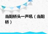 當(dāng)陽(yáng)橋頭一聲吼（當(dāng)陽(yáng)橋）