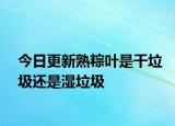 今日更新熟粽葉是干垃圾還是濕垃圾