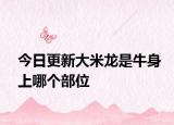 今日更新大米龍是牛身上哪個(gè)部位