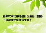 春來農(nóng)家忙耕地是什么生肖（陽春三月耕地忙是什么生肖）