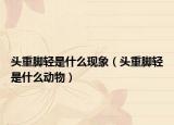 頭重腳輕是什么現(xiàn)象（頭重腳輕是什么動物）