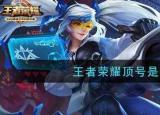 王者榮耀頂號（王者榮耀頂號是什么意思）