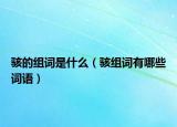 駭?shù)慕M詞是什么（駭組詞有哪些詞語(yǔ)）