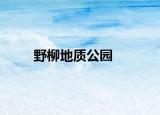 野柳地質(zhì)公園