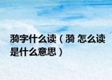 漪字什么讀（漪 怎么讀是什么意思）