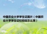 中國農(nóng)業(yè)大學(xué)學(xué)生證圖片（中國農(nóng)業(yè)大學(xué)學(xué)生證校驗(yàn)碼怎么填）