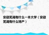 安徽蕪湖有什么一本大學(xué)（安徽蕪湖有什么特產(chǎn)）