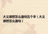 大義凜然怎么造句五個字（大義凜然怎么造句）