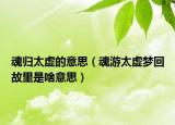 魂歸太虛的意思（魂游太虛夢(mèng)回故里是啥意思）