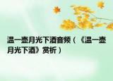 溫一壺月光下酒音頻（《溫一壺月光下酒》賞析）