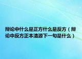 辯論中什么是正方什么是反方（辯論中反方正本清源下一句是什么）