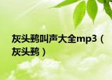 灰頭鹀叫聲大全mp3（灰頭鹀）