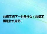 非梧不棲下一句是什么（非梧不棲是什么意思）