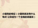 小狼狗的特征（小狼狗男友有什么特點(diǎn) 讓你成為一個(gè)合格的男朋友）