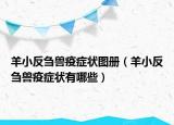 羊小反芻獸疫癥狀圖冊（羊小反芻獸疫癥狀有哪些）