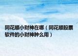 同花順小財(cái)神在哪（同花順股票軟件的小財(cái)神腫么用）