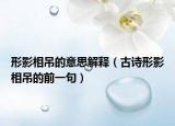 形影相吊的意思解釋（古詩(shī)形影相吊的前一句）