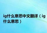 ig什么意思中文翻譯（ig什么意思）