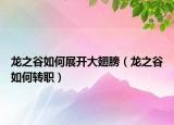 龍之谷如何展開(kāi)大翅膀（龍之谷如何轉(zhuǎn)職）