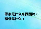 檁條是什么東西圖片（檁條是什么）