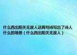 什么西出陽(yáng)關(guān)無(wú)故人這兩句詩(shī)寫(xiě)出了詩(shī)人什么的場(chǎng)景（什么西出陽(yáng)關(guān)無(wú)故人）