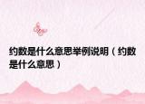 約數(shù)是什么意思舉例說明（約數(shù)是什么意思）