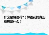 什么是解語(yǔ)花?（解語(yǔ)花的真正意思是什么）