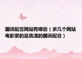 國語配音網站有哪些（求幾個網站電影要的是高清的國語配音）
