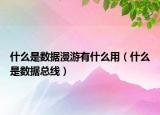 什么是數(shù)據(jù)漫游有什么用（什么是數(shù)據(jù)總線）