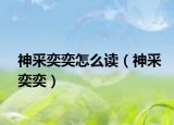 神采奕奕怎么讀（神采奕奕）