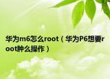 華為m6怎么root（華為P6想要root腫么操作）