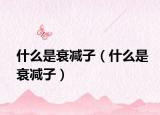 什么是衰減子（什么是衰減子）