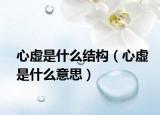 心虛是什么結(jié)構(gòu)（心虛是什么意思）
