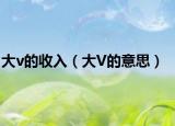 大v的收入（大V的意思）