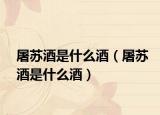屠蘇酒是什么酒（屠蘇酒是什么酒）