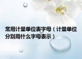 常用計量單位表字母（計量單位分別用什么字母表示）