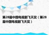 第28屆中國(guó)電視劇飛天獎(jiǎng)（第28屆中國(guó)電視劇飛天獎(jiǎng)）