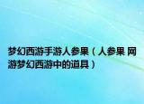 夢(mèng)幻西游手游人參果（人參果 網(wǎng)游夢(mèng)幻西游中的道具）
