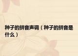 種子的拼音聲調(diào)（種子的拼音是什么）