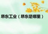 慈東工業(yè)（慈東是哪里）